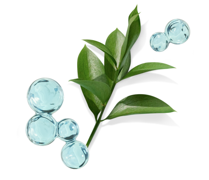 자연과 현대 의학의 결합