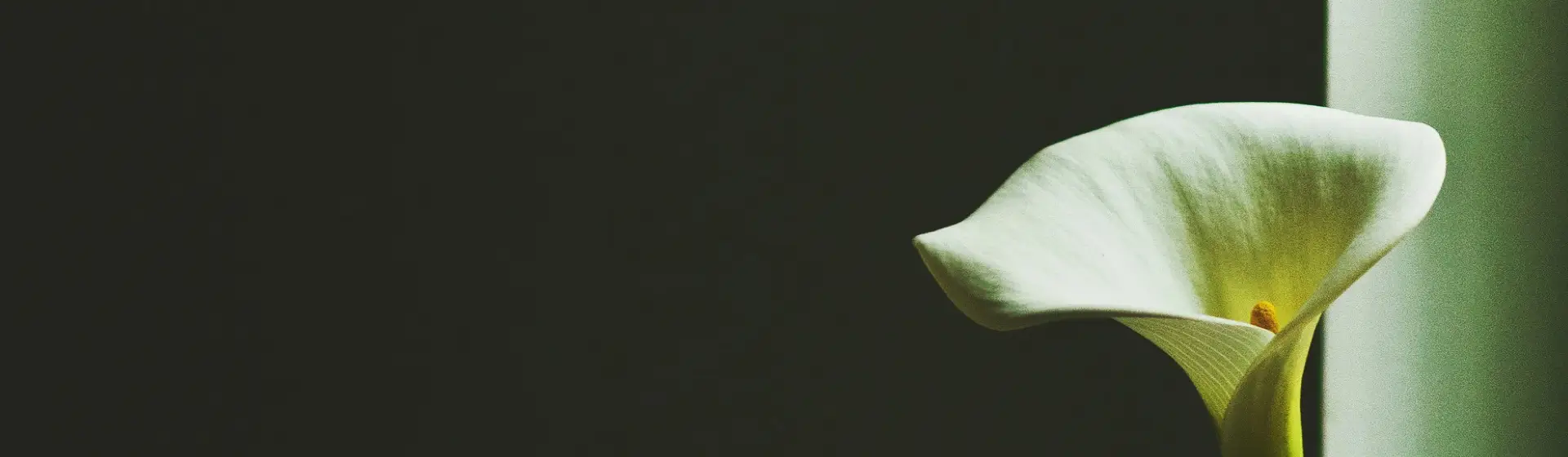 바인허브의 특별한 스토리